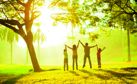 bướm bay vào nhà là điềm gì